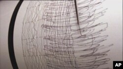 Սեյսմոմետրիկ սարք: 