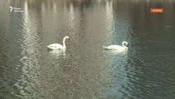 Борьба за Талдыколь продолжается: водный объект есть, но водоохранной зоны нет  