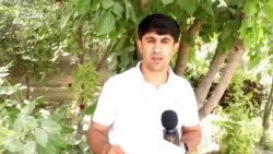 Як табиб ва мансабдорро дар Кӯлоб дастгир карданд
