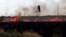 A stork flies over a burning field near the town of Snigurivka, Mykolayiv region, Ukraine, in July. 
