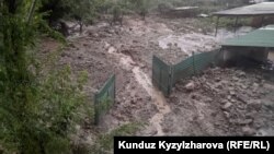 Көөчү айылынын тургуну Астранын үйүнүн алды. 7-август 2023-жыл