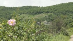 «Մի ձոր ա անցնում, էն կողմը թորքն ա, էս կողմը մենք ենք». Կաղնուտի բնակիչ