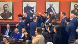 Очередная драка в парламенте Грузии