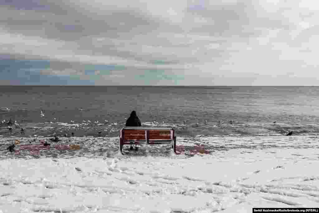 А інші просто насолоджуються морем&nbsp;