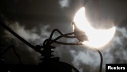 عکس آرشیوی از خورشیدگرفتگی اکتبر ۲۰۲۳، برزیل