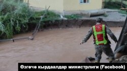 Иллюстрациялык сүрөт.