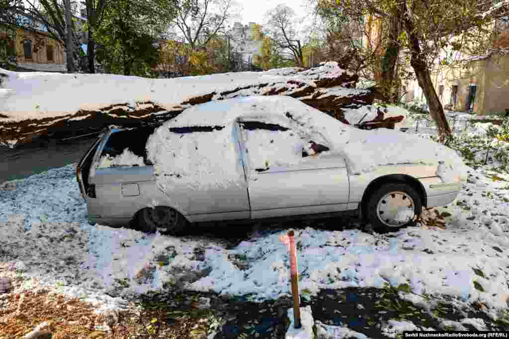 Внаслідок падіння дерев через пориви вітру були пошкоджені декілька десятків авто