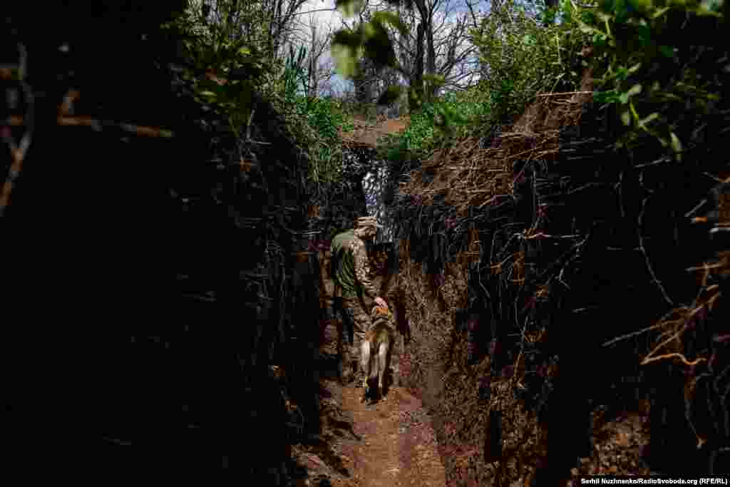 Український військовий і пес &laquo;Кубик&raquo; продовжують оберігати й захищати спокій українців вдень і вночі. Позиції ЗСУ, район Красногорівки і Мар&rsquo;їнки. Донецька область, травень 2023 року Учасники походу під командуванням генерал-полковника Армії УНР Михайла Омеляновича-Павленка подолали понад 2500 кілометрів територією сучасних Житомирської, Київської, Черкаської, Кіровоградської, Миколаївської, Одеської, Вінницької областей. Вони провели майже 50 переможних боїв. &laquo;Похід став однією з&nbsp;найгероїчніших і найуспішніших бойових операцій часів Української революції 1917&minus;1921 років&raquo;,&nbsp;&ndash; нагадує Інститут національної пам&rsquo;яті