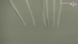  Путін відвідав Об'єднані Арабські Емірати та Саудівську Аравію