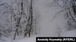 За повідомленням, у гірських районах Закарпатської області існує загроза зсувів снігу на дороги