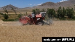 Գյուղատնտեսական աշխատանքներ Շիրակի մարզում, արխիվ