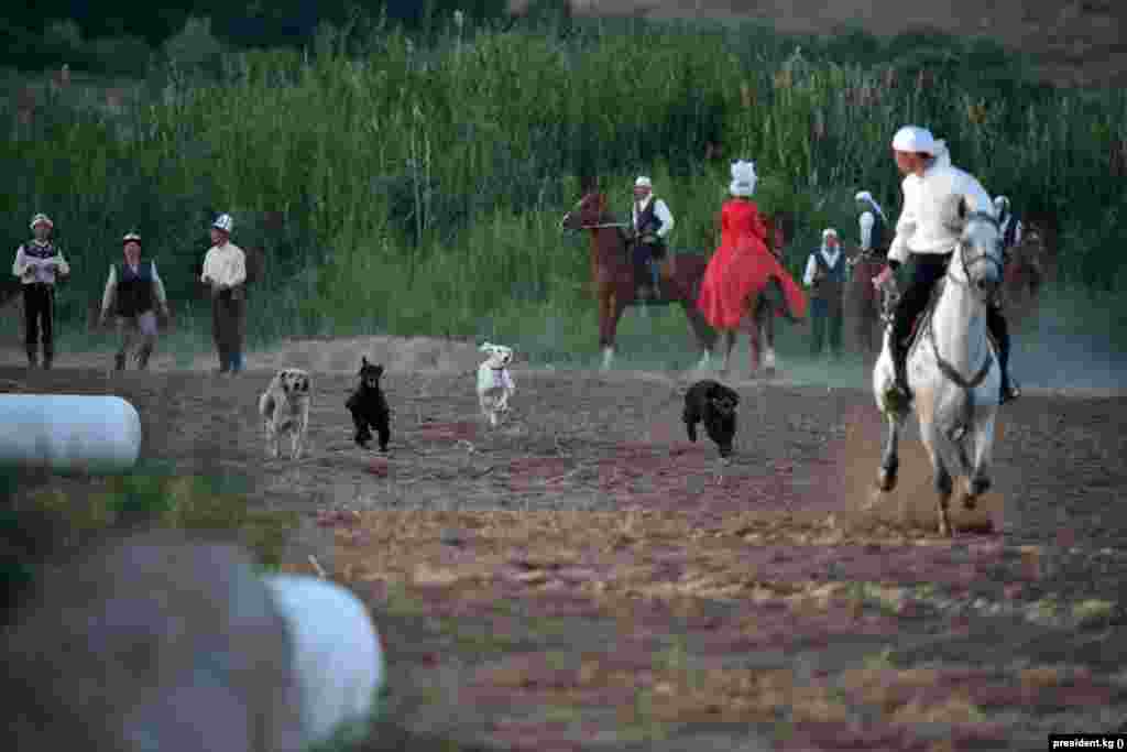 Мамлекет башчыларына улуттук аңчылыктын айрым түрлөрү дагы тартууланды.