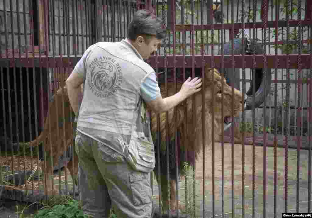 Наталя отримує гроші від UA Animals і від пожертвувань, але через хвилювання про те, як з усім впоратися, не могла спати ночами. &laquo;Я все одно буду позичати гроші, їздити в гарячі точки і рятувати тварин. Я не можу їм відмовити&raquo;,&nbsp;&ndash; каже Наталя Попова. Оскільки кінця війни не видно, Наталя знає, що вона все ще буде потрібна. &laquo;Моя місія на цій війні&nbsp;&ndash; рятувати диких тварин&raquo;,&nbsp;&ndash; каже вона. Інформацію про те, як пожертвувати гроші, можна знайти тут