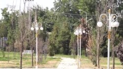 Ба дарахтҳои боғи ҷашнии Данғара чӣ шуд?