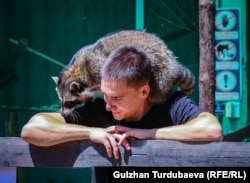 Андрей Шевченко енот Еша менен.