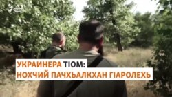 Кхин а цхьа тIеман тоба ю Украина ларъеш