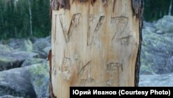 Надпись на "дереве жизни"