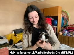 Звірят не забули