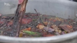 Голодомор в Україні: студенти провели найбільш масштабну акцію на Близькому Сході – відео