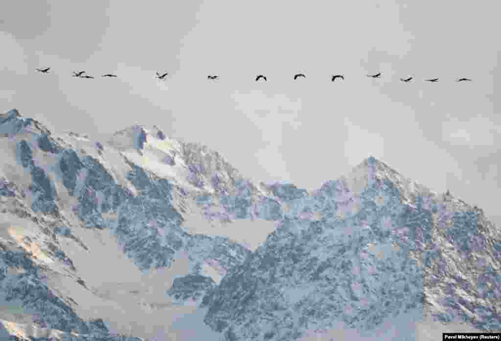 Турналар тобу Казакстандын Иле-Алатау тоосунун үстүндө учуп баратат.&nbsp;