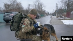 Війна і тварини