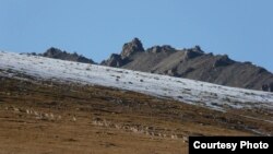 Сары-Чат-Ээр-Таш мамлекеттик коругу.