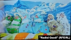 Таваллуди шашгоник дар Тоҷикистон