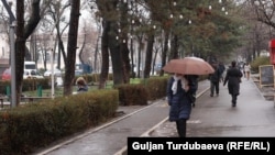 Иллюстрациялык сүрөт.