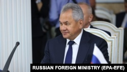 Министр обороны РФ Сергей Шойгу (архив)