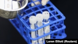 Йдеться про різновид «омікрону», який називають типом ВА.5