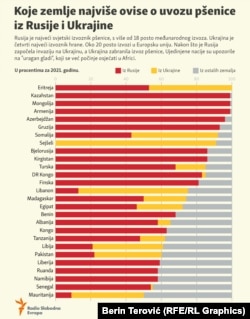 Орусия менен Украинадан буудай импорттогон 36 мамлекет.