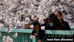 Иллюстрация сүрөт. Жапония.