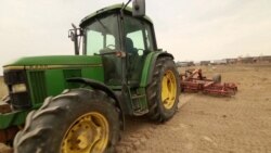 Sowing At Gunpoint: How Ukrainian Farmers Work In Occupied Territories
