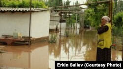 Сузак районунан тартылган сүрөт. 5-май, 2022-жыл.
