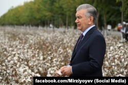 Президент Узбекистана Шавкат Мирзиёев