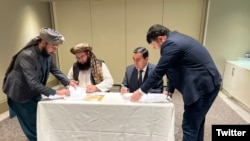 Талибдер бийлиги менен Тажикстан электр энергия жаатындагы келишимди узартышты. 11-январь 2024-жыл