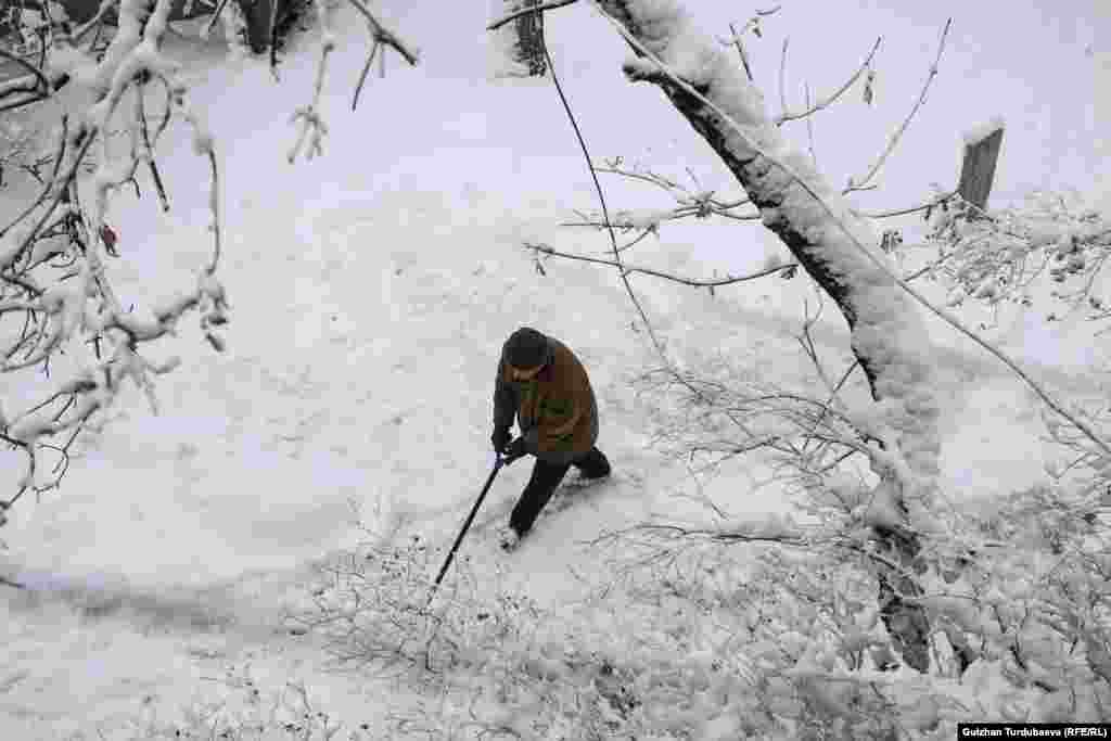 Калың жааган кар автоунаа, байланыш түйүндөрүн, энергетика жана коммуналдык кызматтардын ишине түйшүк жаратты.