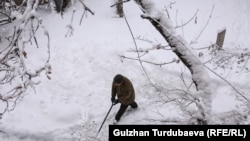 Бишкектеги кар. 