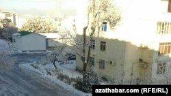 Gardan soň. Türkmenistan (Arhiw suraty)