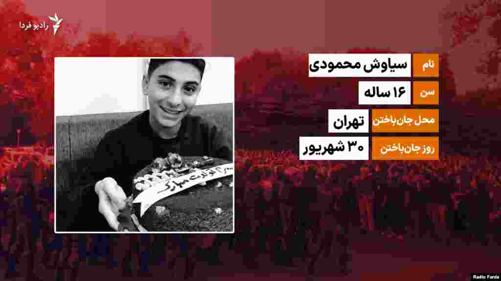 سیاوش محمودی