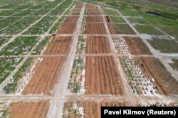 Ряди нових могил на Старокримському кладовищі у Маріуполі, сфотографовані у травні 2022-го. Кладовище дуже розрослося після захоплення міста Росією: переважно могилами, на яких немає напису про те, хто похоронений, а лише номер