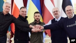 (Left to right) Lithuania's President Gitanas Nauseda, Polish President Andrzej Duda, Ukrainian President Volodymyr Zelenskiy, Latvian President Egils Levits, and Estonia's President Alar Karis pose for a picture during their meeting in Kyiv on April 13.