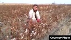 Иллюстративное фото