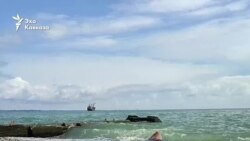 Мертвые дельфины на сухумской набережной