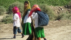 
Diňle: Gowaça meýdanlarynda el güýjüniň 'ýetmezçiligi güýçlenýär'