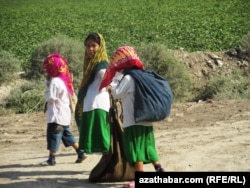 Türkmenistanda pagta ýygymyna gatnaşýan çagalar
