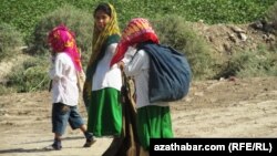 Hasabatda 2017-nji ýylda häkimiýetleriň birnäçe ýylyň dowamynda ilkinji gezek çagalary hem pagta meýdanlaryna çekendigi barada maglumatlar gowuşdy diýip, nygtalýar. Arhiw suraty.