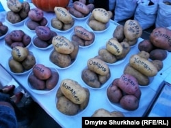 Фестиваль дерунів у Коростені, вересень 2011 року