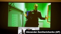 Алексей Навальный