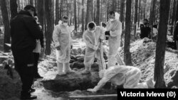 Эксгумацыя целаў загінулых падчас расейскай акупацыі гораду Ізюм на Харкаўшчыне. Украіна, верасень 2022 году